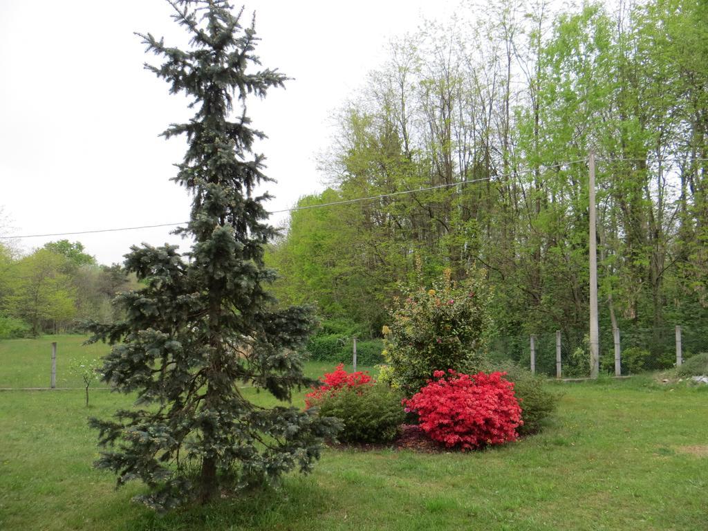 B&B Il Rovere Gattico Kültér fotó
